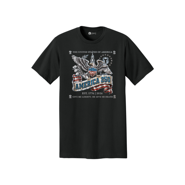 Party in the USA T-shirt