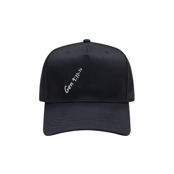 Genesis 9:12-16 Hat