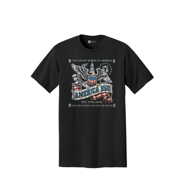 Party in the USA T-shirt