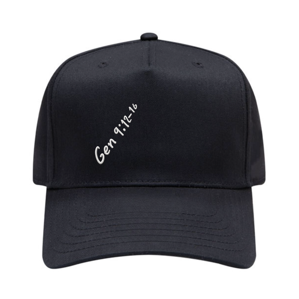 Genesis 9:12-16 Hat