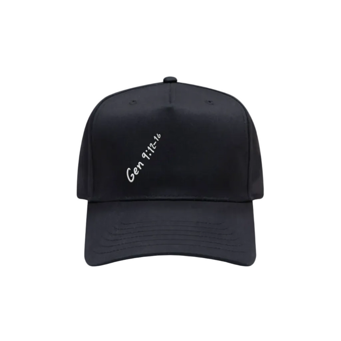 Genesis 9:12-16 Hat
