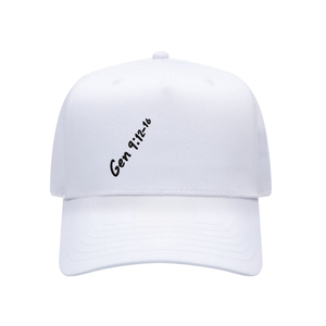 Genesis 9:12-16 Hat