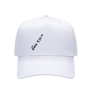 Genesis 9:12-16 Hat